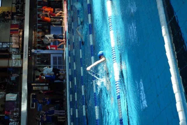 2019 Frühjahrsmeeting